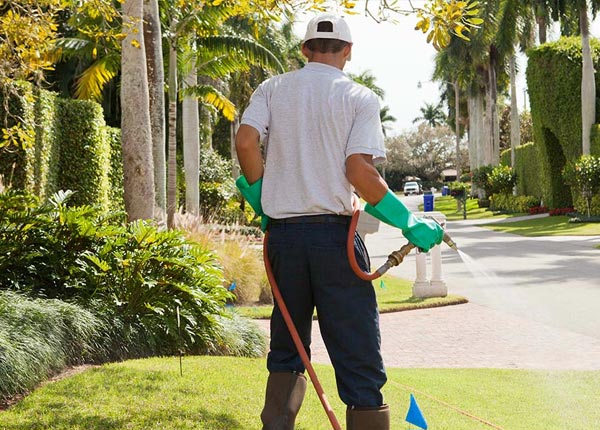 About Cairo NE Pest Control
